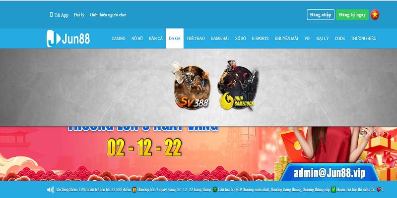 Lưu ý khi chơi đá gà Jun88